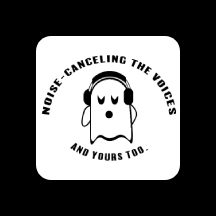 Noise Canceling Magnet